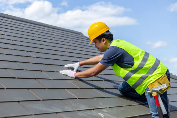 Best Roof Gutter Cleaning  in Plains, MT