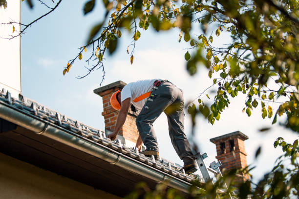 Roof Installation Near Me in Plains, MT