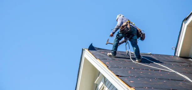 Best Residential Roofing Contractor  in Plains, MT